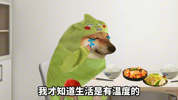 我很小的时候就出生了，直到遇见你