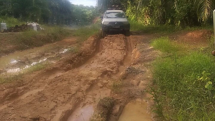 Triton Hampir Tumbang Muatan Sawit
