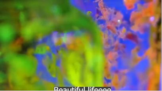 vẫn là những thứ có ích p1 #beautifullifeeee