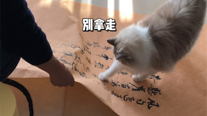 It’s great to love calligraphy, but it does cost a pretty penny…