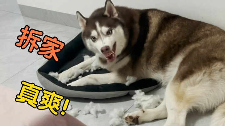 "Things Don't Happen Three Times"