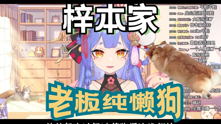 【阿梓】锐评牛蛙店老板，懒狗！放假跑得比谁都快