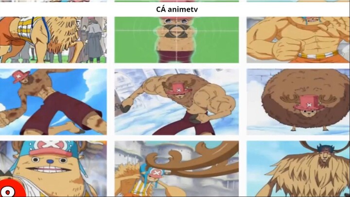 Top 10 Trái Ác Quỷ hỗ trợ đồng đội cực tốt __ 3