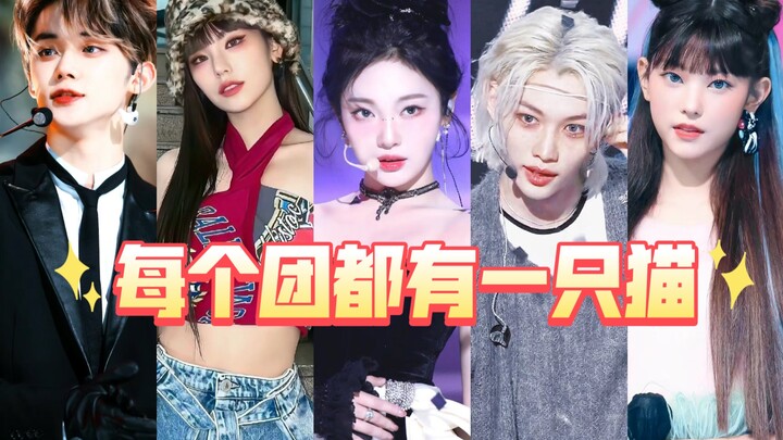 【Idola Kucing】Daftar Idol K-Pop dengan Wajah Kucing dari Setiap Grup! Kucing Jenis Apa yang Jadi Fav