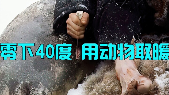 In a frigid, snow-covered landscape at -40°C, a man warms himself with a sea lion’s body.