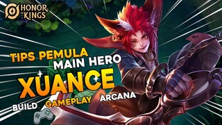 Hero Baru Xuance HOK Mirp Enzo dari AOV