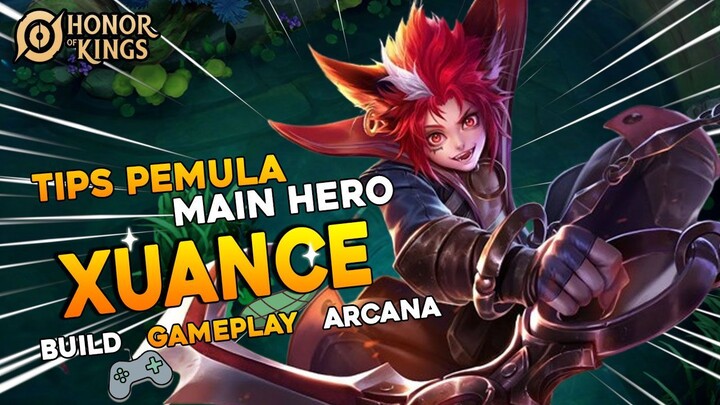 Hero Baru Xuance HOK Mirp Enzo dari AOV