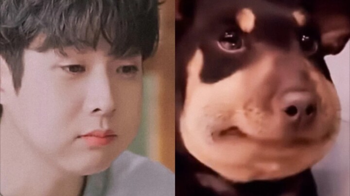 ช่วงนี้ทำฉันขำจนจะอ้วกเลย!!! ชเวอูซิกมีความฮาในตัวจริงๆ