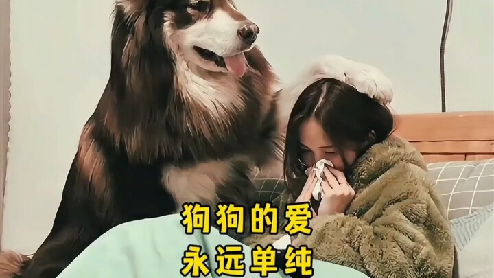 “Anjing itu mencintaimu, lebih dari mencintai dirinya sendiri”
