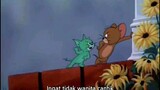 Tom and Jerry - Tom jatuh cinta( Smitten Kitten )sub indonesia