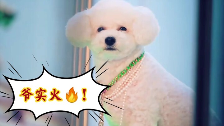 【VIVI】บล็อกทางการของ EXO เผยคลิปเบื้องหลังการถ่ายทำมิวสิกวิดีโอของ VIVI! ตัวท็อปแห่งวงการหมาเลยนะเนี