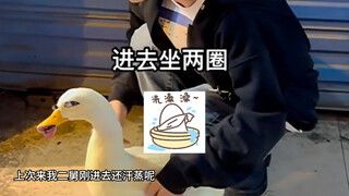 旋转木马是你的谎言