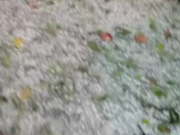 This was filmed by a netizen in Guizhou. Their shop was flooded by hail and torrential rain. At firs