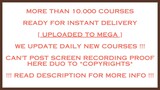 Soulja - The Beginners Dropshipping Course Torrent Free