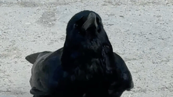 เพื่อภรรยาและลูก!! เพื่อภรรยาและลูก!!