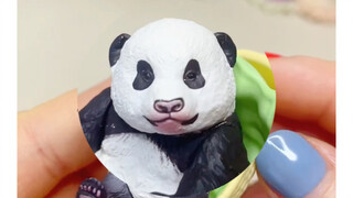Jika aku mengeluarkan kapsul panda, apa reaksimu?