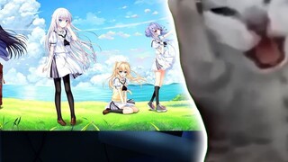 [Cat meme] Be careful when playing Galgame in the dormitory - even for all ages