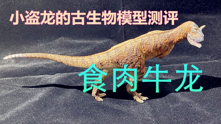 小盗龙的模型测评：PNSO食肉牛龙
