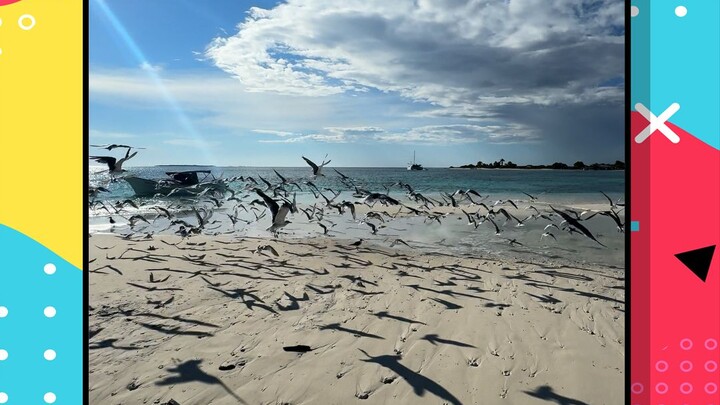 ท้องฟ้าถล่มแล้ว รองเท้าถูกขโมยไปแล้ว!