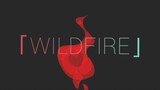Pemenang Buku】WILDFIRE