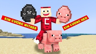 Minecraft Nhưng Đố Ai Có Siêu Kim Cương