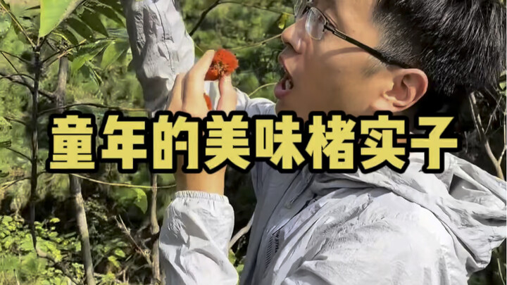 Kenikmatan Masa Kecil: Buah Zhushi