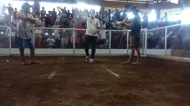 NCB White kelso line