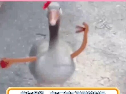 พ่อแม่ใจกว้าง คุณย่าสติแตก พี่สาวใจเย็น ฉันที่ใจสลาย #ระเบิดอารมณ์#มดสอบ#เทคนิคจำศัพท์