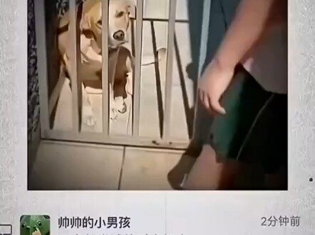 #HotCommentCopy #Funny #Entertainment