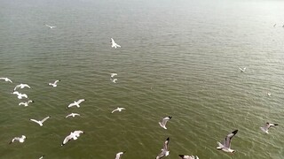 saint martin coxbazar