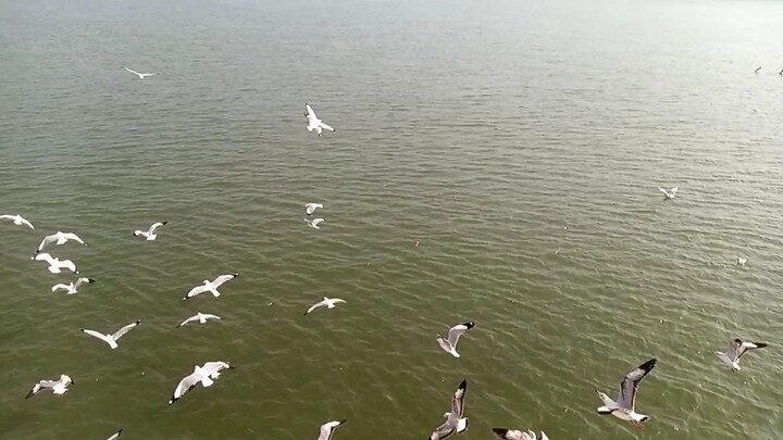 saint martin coxbazar