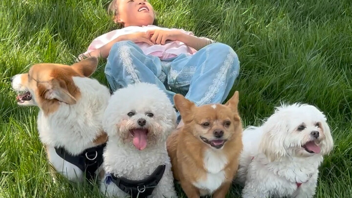 I’ve decided to “give away” all four of them～