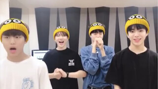 【TREASURE】Video Minions buồn cười quá haha ...