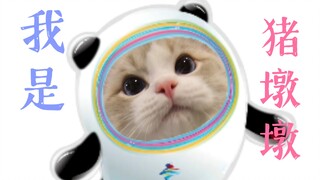 You have Bing Dwen Dwen; I have Zhu Dwen Dwen!