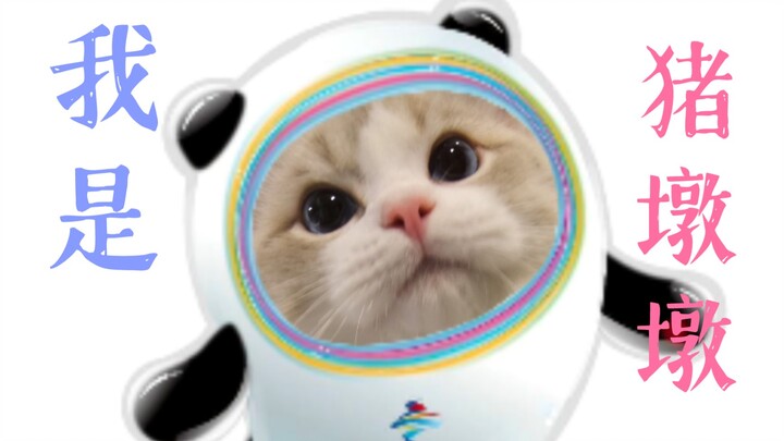 You have Bing Dwen Dwen; I have Zhu Dwen Dwen!