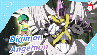 Digimon | Bangkitlah! Angemon! | Angemon Suci!_1