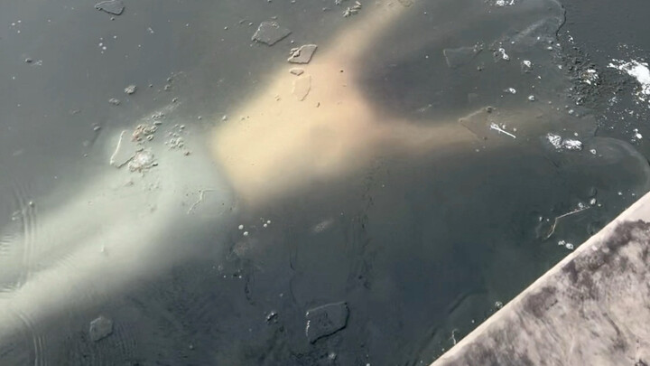 Jangan percaya pada stereotip apa pun!