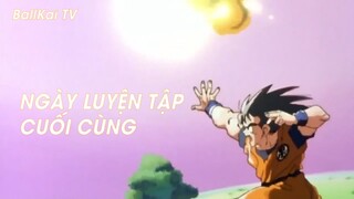 Dragon Ball Kai (Short Ep 8) - Ngày luyện tập cuối cùng