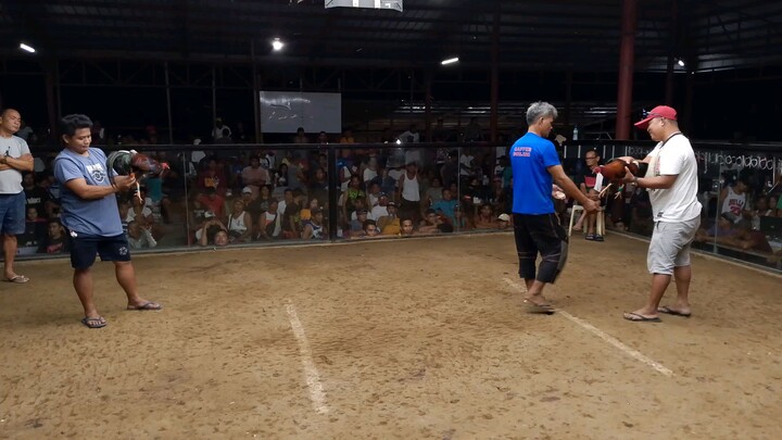 limbstick sweater in action 🔥