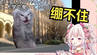 Japanese Lolita couldn't hold back after watching "3 things that shocked Japanese people who came to