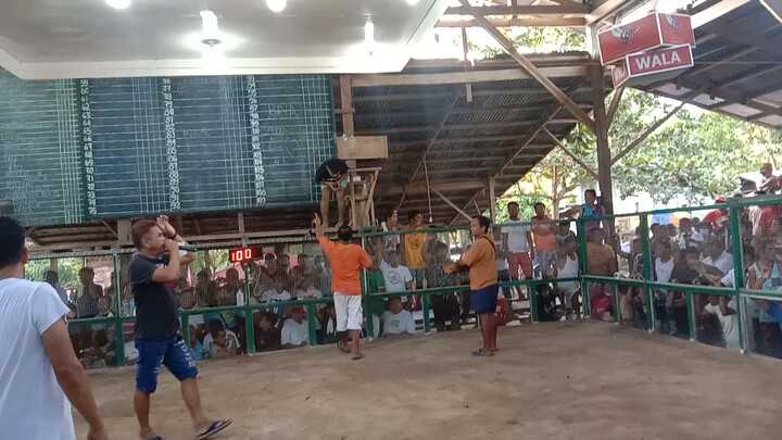 DL BULIK CROSS YLH      WIN DIMIAO ARENA