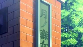 月之森标志多，真假soyo说