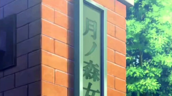 月之森标志多，真假soyo说