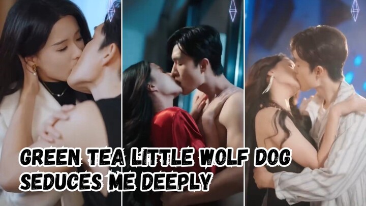 Green Tea Little Wolf Dog Seduces Me Deeply