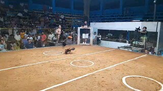 2hits ulutan 2nd fyt win caliber hatch GSP line