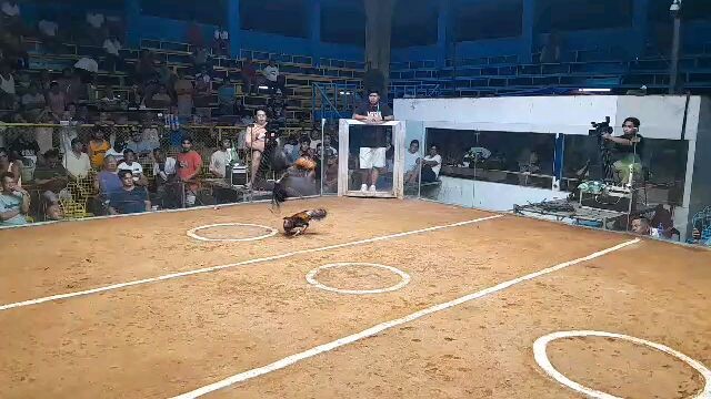 2hits ulutan 2nd fyt win caliber hatch GSP line