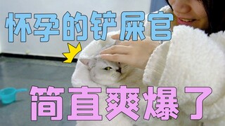 孕妇才是养猫最完美的状态！