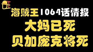 【阿旺】海贼王1064话情报！大妈已死！贝加庞克也要挂了！