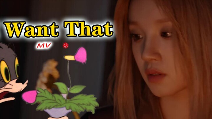 (G)I-DLE's new song "I Want That'" original MV!