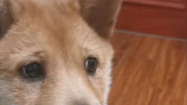 She’s nagging me to go to bed.